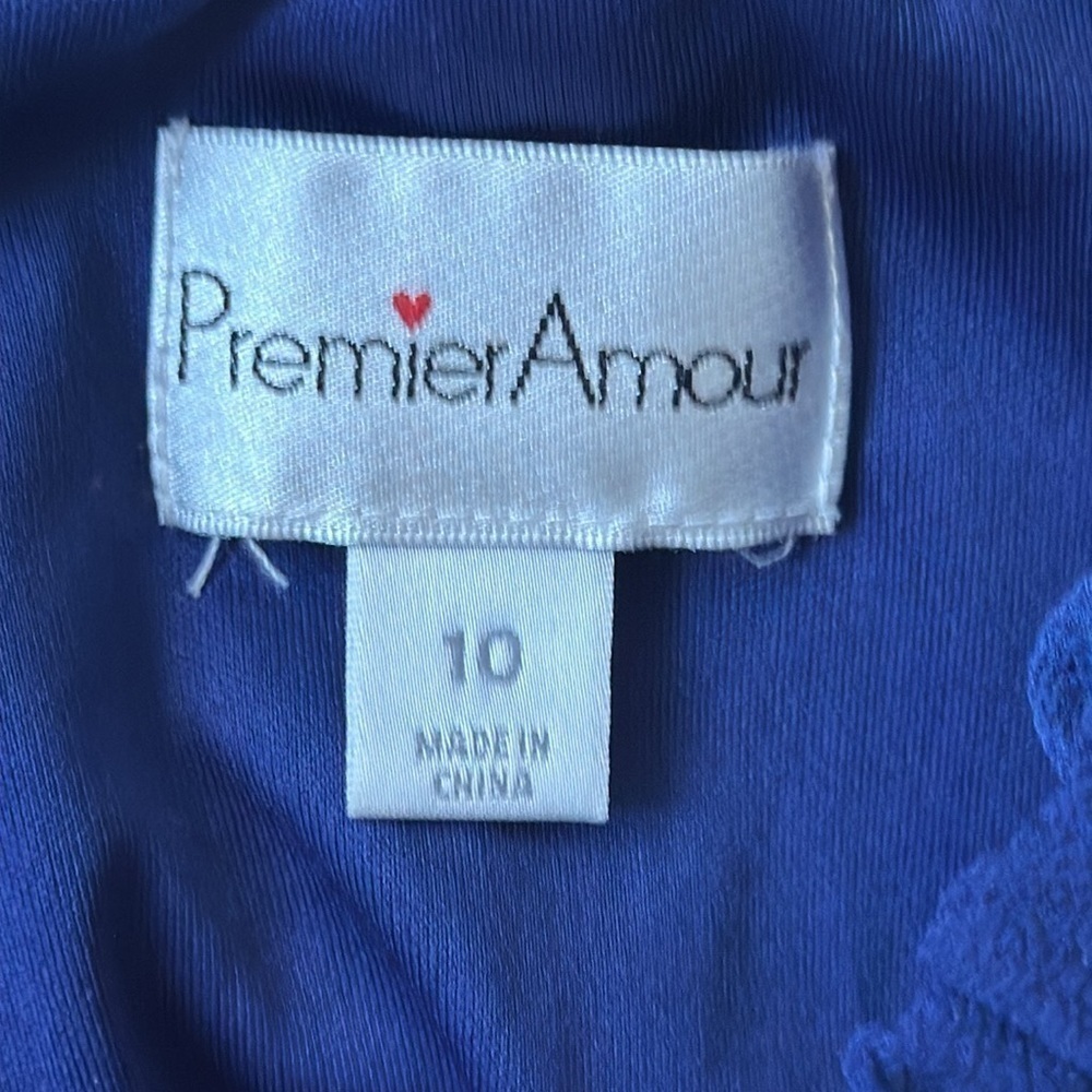 PremierAmour dress blue pink floral size 10 ruffled balletcore - Picture 7 of 10